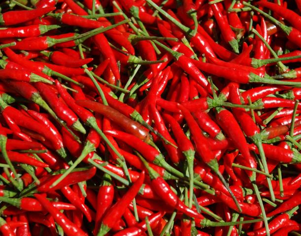 Chili paprika