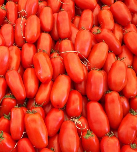 San Marzano