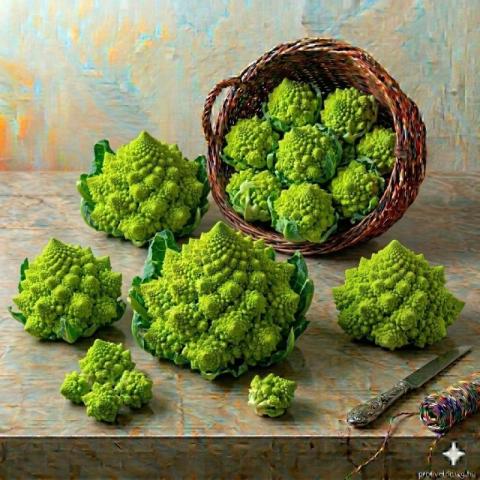 Karfiol - Romanesco